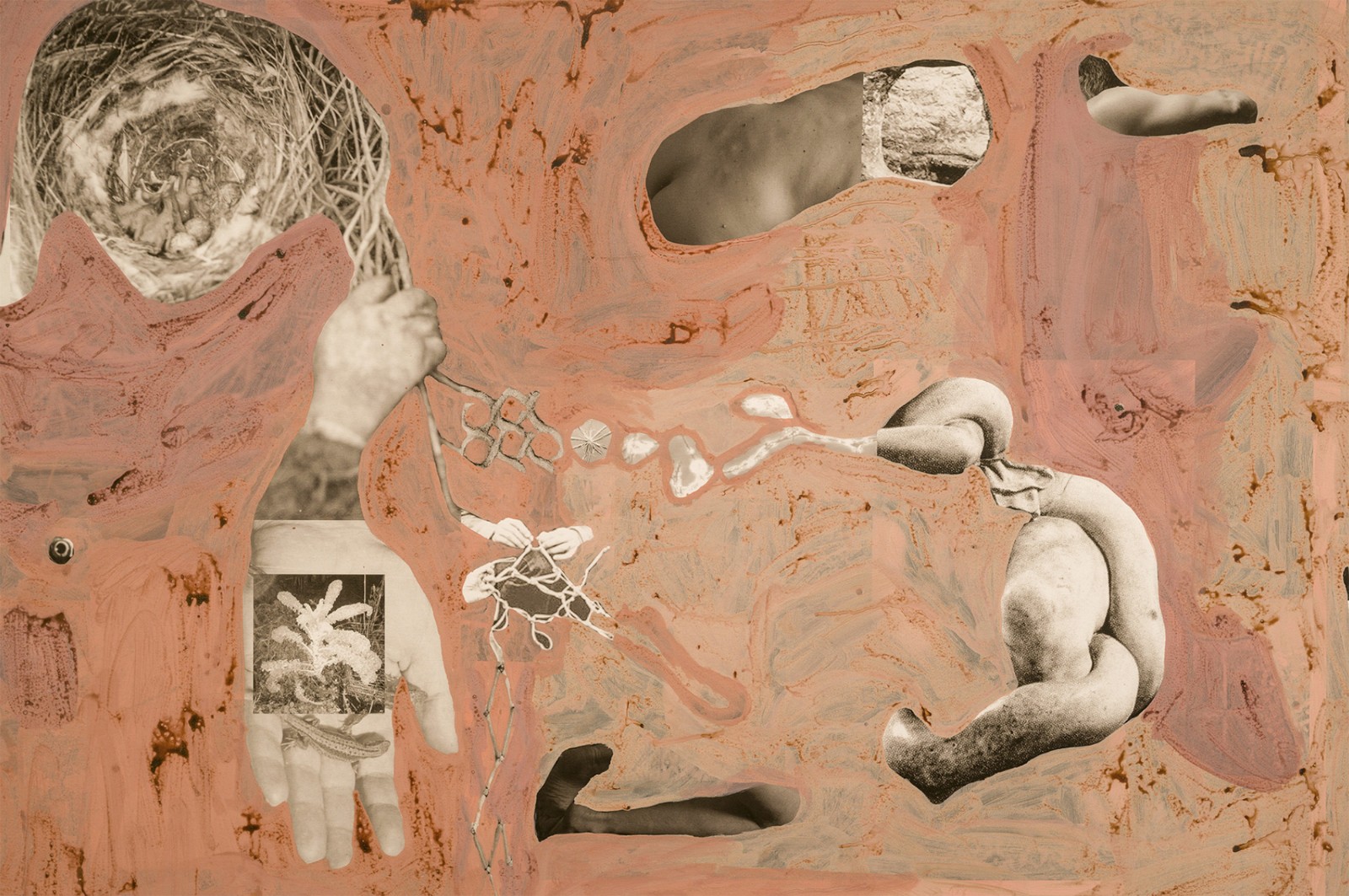 圖十二、《地勢(shì) (關(guān)于時(shí)間，關(guān)于身體)》 (細(xì)節(jié)圖)，O?zlem Alt?n，2019