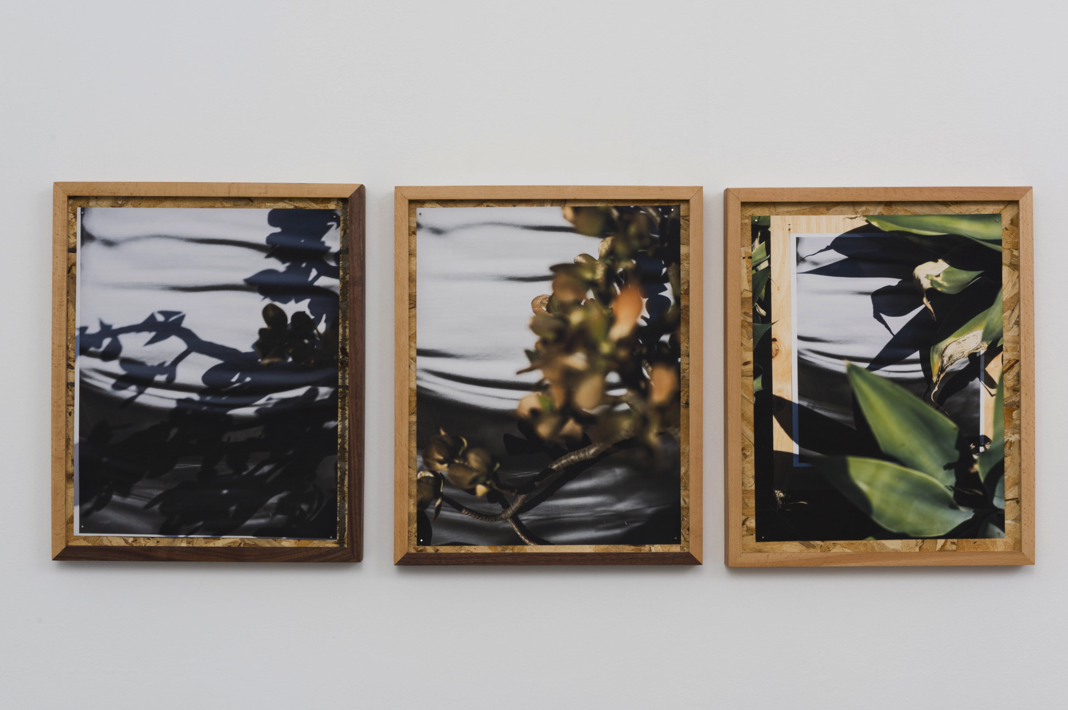 圖四、從左至右《庫(kù)卡蒙格牧場(chǎng) 34.1064° N, 117.5931° W. 》2018《回聲公園 34.0782° N, 118.2606° W.》 2018《康普頓 33.8958° N, 118.2201° W. 2018》David Alekhuogie